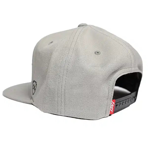 כובע פסטהאוס אפור FASTHOUSE Essential Hat Gray אחורה